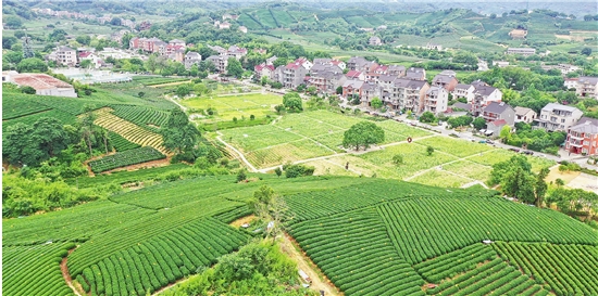 《中共中央 国务院关于全面推进美丽中国建